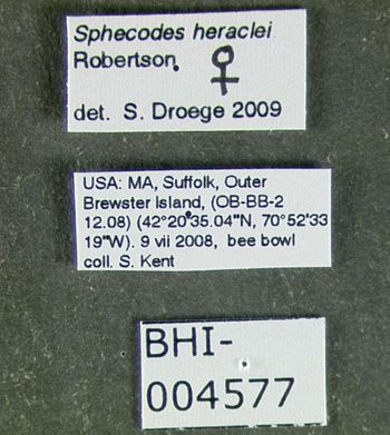 Media type: image;   Entomology 610762 Aspect: labels